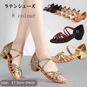  eV[Y q[3.5cm LbYV[Y _XV[Y fB[XT_ WjA Ќ_XV[Y ^S WY  Ǝ w \  ʉ ʊw 