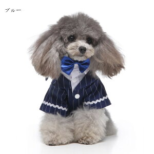   hbOEFA ^LV[h ybg XgCv LpiS-XLTCYj^ ^ tH[} VY ʐ^ Be  j LOp[eB[  yVCOʔ