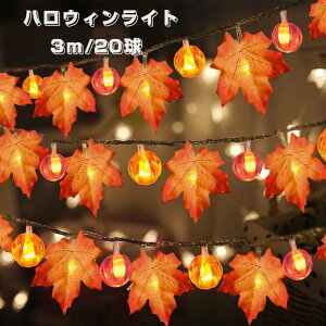  nEB Cg 3m 20 J{`Cg C~l[VCg LEDCg p CeAƖ dr(drȂ) halloween  DIY  Cg Xܑ q yVCOʔ