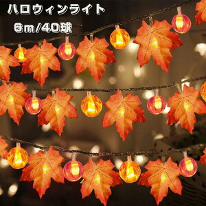  nEB Cg 6m 40iڂ჉Cg20+gtCg20j J{`Cg C~l[VCg LEDCg p CeAƖ dr halloween  DIY  Cg X