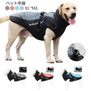  ~ ybg pxXghR[g AE^[ hbOEFA    H~ ybgEFA o U ^`^ɍœK yVCOʔ