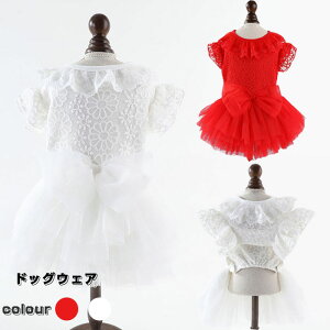   hbOEFA hbOhX ybg ^ ^ bh zCg s[X tH[} ʐ^ Be  j LOp[eB[ yVCOʔ