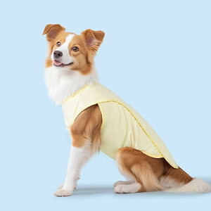    ^ ^ N[ UVJbg bV O΍ h΍ ĕ   G炵 ⊴EFA ⊴f ʋC 킢 ^N t ^ v`v ₷