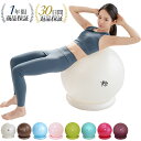 【エントリーでP5倍!】バランスボール 55cm アンチバースト 耐荷重300kg 固定リング ハンドポンプ付】 体幹トレーニン…