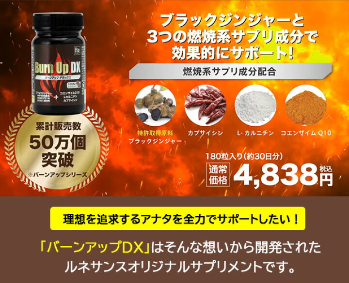 楽天市場】【マラソン期間中P5倍】ルネサンス バーンアップDX 45g 