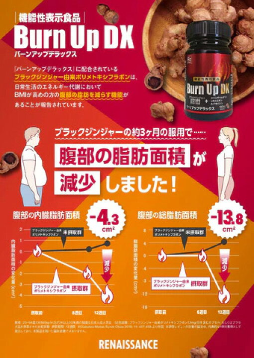 楽天市場】【マラソン期間P5倍】ルネサンス バーンアップDX 45g（250mg 