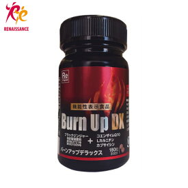 ルネサンス バーンアップDX 45g（250mg×180粒） ブラックジンジャー抽出物配合【送料無料】