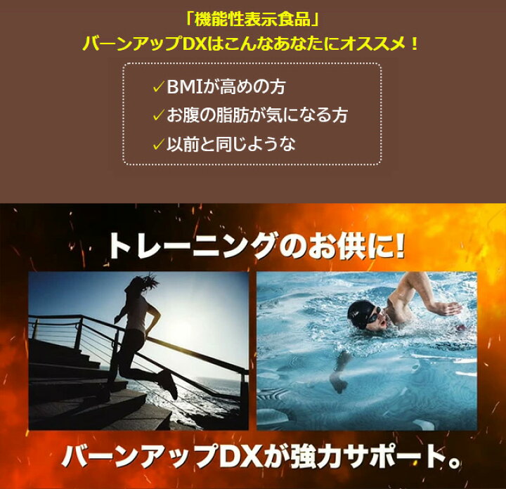 楽天市場】【マラソン期間P5倍】ルネサンス バーンアップDX 45g（250mg 