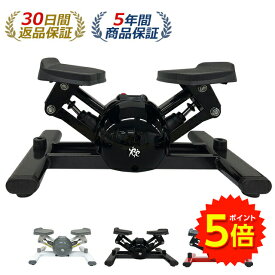 【マラソン期間P5倍】ステッパー エアロステッパー SP-500 │筋トレ 有酸素運動 静音 体幹 ダイエット 器具 健康器具 フィットネス トレーニング コア ステップ台 お腹 ダイエット 室内 運動器具 脂肪燃焼 宅トレ エクササイズ