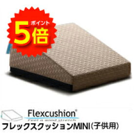 【1日限定ポイント5倍実施中】サンテプラス フレックスクッション MINI 子供用（ 本体のみ、本体＋DVDセット）