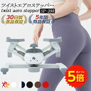 【1日限定ポイント5倍実施中】【ツイストステッパー正規品】男女兼用 ツイストエアロステッパー SP-200 │ 美脚 くび…