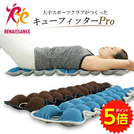 【マラソン期間中P5倍】【正規品】キューフィッターPro 連結型 リセットポール ストレッチ 筋膜リリース フォームローラー 筋膜ローラー ストレッチ ローラー マッサージボール【送料無料】