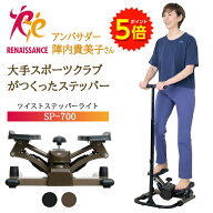【マラソン期間中P5倍】【ツイストステッパー正規品】ステッパー ツイストステッパー ライト SP-700 | 負…