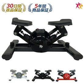ステッパー エアロステッパー SP-500 │筋トレ 有酸素運動 静音 体幹 ダイエット 器具 健康器具 フィットネス トレーニング コア ステップ台 お腹 ダイエット 室内 運動器具 脂肪燃焼 宅トレ エクササイズ