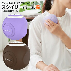 【ポイント10倍 メーカー直販】振動式 スタイリーボール温 電動 4段階調整 ヒーター機能付き 体幹エクササイズ 電動フォームローラ 筋膜リリース 内転筋 内もも 骨盤周辺 ダイエット
