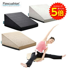 【エントリーでP5倍!】サンテプラス フレックスクッション（ 本体のみ、本体＋DVDセット）