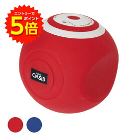 【エントリーでP5倍!】【正規品】振動式 スタイリーボール 電動 5段階調整 体幹エクササイズ 電動フォームローラ 筋膜リリース 内転筋 内もも 骨盤周辺 ダイエット