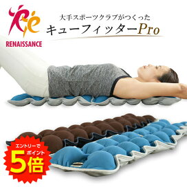 楽天市場】【マラソン期間P5倍】【正規品】キューフィッターPro 連結型 