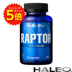 yGg[P5{!zHALEO RAPTOR v^[ 210JvZ A`h[sOFTvyz