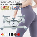 【エントリーでP5倍!】【ツイストステッパー正規品】男女兼用 ツイストエアロステッパー SP-200 │ 美脚 くびれ お腹…