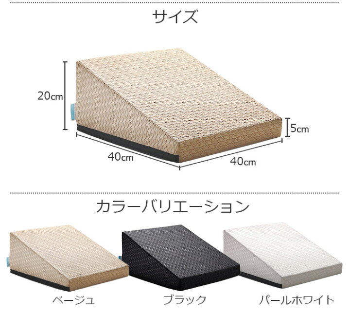 楽天市場】サンテプラス フレックスクッション（ 本体のみ、本体＋DVD 