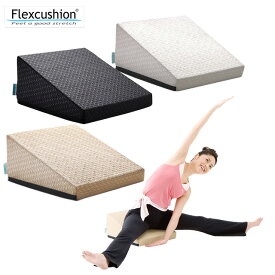 サンテプラス フレックスクッション（ 本体のみ、本体＋DVDセット）