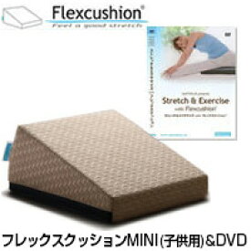 サンテプラス フレックスクッション MINI（子供用）＆DVDセット