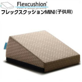 【エントリーでP5倍!】サンテプラス フレックスクッション MINI 子供用（ 本体のみ、本体＋DVDセット）