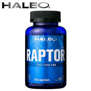 HALEO RAPTOR v^[ 210JvZ A`h[sOFTvyz
