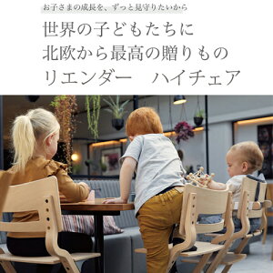 G_[ nC`FA k `FA H83cm W55cm D56cm Leander Ki 10Nۏ