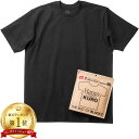 ヘインズ クロ Tシャツ 半袖 HM1-B201 KURO 黒 Hanes クルーネック 厚手 メンズ レディース ユニセックス カットソー