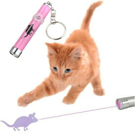 【送料無料】キャットLEDポインターライト