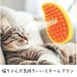 yzL񂪋CX`[uV@L uV C L uV  L ubVO  LuV X`[