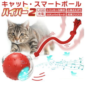 【送料無料】キャットスマートボール・ハイパー2 ＜商品ページの動画是非見て下さい！！＞【楽天市場リアルタイムランキング”猫のおもちゃ”第1位】猫　おもちゃ　猫のおもちゃ　ボール　一人遊び　ペットのおもちゃ　USB充電運動不足　ダイエット