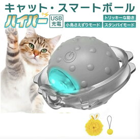 【送料無料】キャット・スマートボール・ハイパー＜商品ページの動画是非見て下さい！！＞　猫　おもちゃ　猫のおもちゃ　ボール　一人遊び　ペットのおもちゃ　ペット　スマート　電動　USB充電