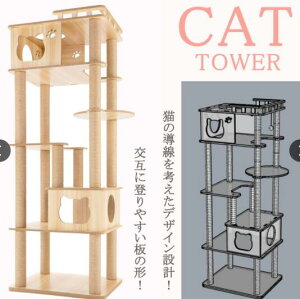 LƑ ~߃}bgt ṼLbgnEX Lbg^[ ؐ  ^ u^ X ܂Ƃ L^[ ܌ lC  167cm