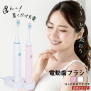 【1回2分のオーラルケア】歯ブラシ 電動 電動歯ブラシ ハブラシ はぶらし 充電式 USB USB充電式 充電スタンド付属 音波式 IPX7 防水 清潔 31000ストローク 子ども 高齢者 仕上げ磨き 歯垢除去 ホワイトニング 虫歯予防 口臭予防 歯茎マッサージ ヒーローグリーン HD-150