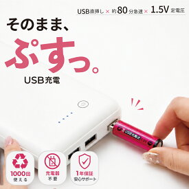 【最大200円OFF】充電池 単3 USB充電電池 単3電池 充電式乾電池 1パック2本入り USB乾電池 リチウムイオン電池 1.5V 急速充電 充電器不要 1000回くり返し使える エコ電池 経済的 マグネット蓋 モバイルバッテリー充電 単三形 1年保証 ヒーローグリーン RevoEnergy HRE3-2