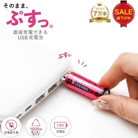 【最大200円OFF】充電池 単3 USB充電電池 単3電池 充電式乾電池 1パック2本入り USB乾電池 リチウムイオン電池 1.5V 急速充電 充電器不要 1000回くり返し使える エコ電池 経済的 マグネット蓋 モバイルバッテリー充電 単三形 1年保証 ヒーローグリーン RevoEnergy HRE3-2
