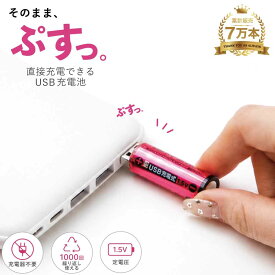 【セットが断然お得】充電池 単3 USB充電電池 単3電池 充電式乾電池 1パック2本入り USB乾電池 リチウムイオン電池 1.5V 急速充電 充電器不要 1000回くり返し使える エコ電池 経済的 マグネット蓋 モバイルバッテリー充電 単三形 1年保証 ヒーローグリーン RevoEnergy HRE3-2