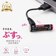 【限定★10%OFF】［まとめ買いが断然お得］充電池 単4 USB充電電池 充電式乾電池 1パック2本入り USB乾電…