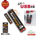 ＼セール200円OFF／【乾電池1000個分】お得なセット有 電池 乾電池 単4 単4電池 単4充電池 充電式 USB乾電池 リチウムイオン電池 充電池 充電乾電池 モバイルバッテリー 充電器不要 単四 乾電池 1.5V USB 充電 急速充電 ヒーローグリーン RevoEnergy レボエナジー HRE4-2