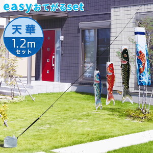 Vj؂₩Ȍ̂ڂ聙V؋ь easyĂsety3C{z1.2mZbg ̂ڂ/뉀/O/^/RpNg