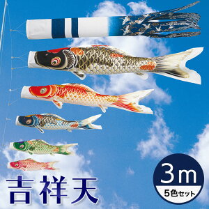 yzōO[h̎Ɣ̌̂ڂ聙g˓V ߋT 3M 5FZbg ŷڂz