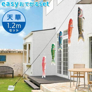 yzVj؂₩Ȍ̂ڂ聙V؋ь easyĂset 1.2mZbg ̂ڂ/뉀/O/^/RpNg