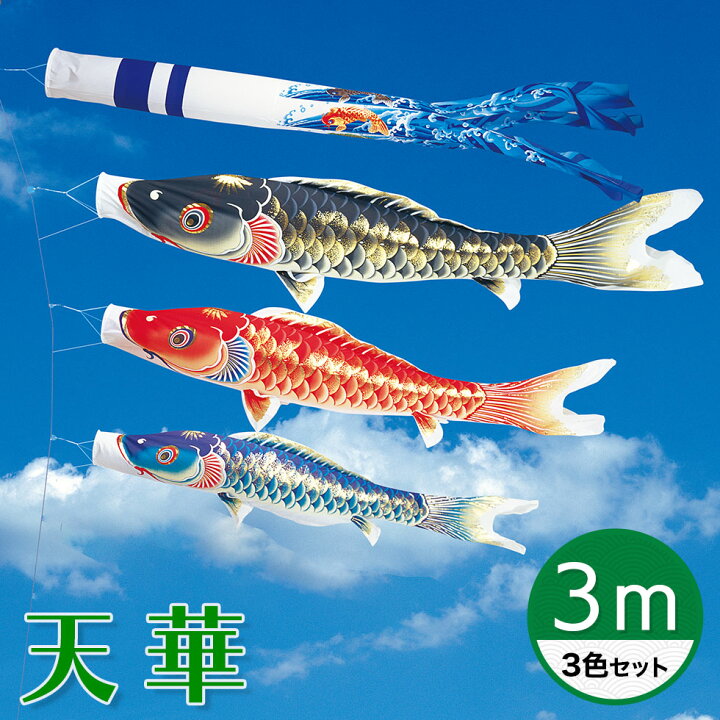 楽天市場】【送料無料】天泳ぐ華やかな鯉のぼり☆天華錦鯉 3M 3色 