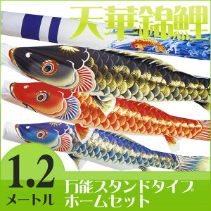 yzVj؂₩Ȍ̂ڂ聙V؋ь G 1.2M z[ZbgCy\X^htz ̂ڂ/x_/}V/^/RpNg