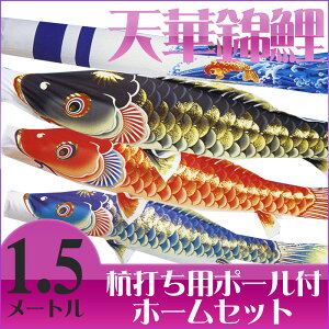 yzVj؂₩Ȍ̂ڂ聙V؋ь G 1.5M }Cz[Zbg ̂ڂ//Ył/|[t/1.5[g/RpNg