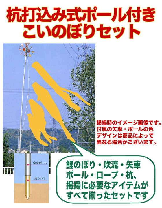 楽天市場】【送料無料】黄金に輝くうろこ☆黄金錦鯉 五色吹流 1.5M 