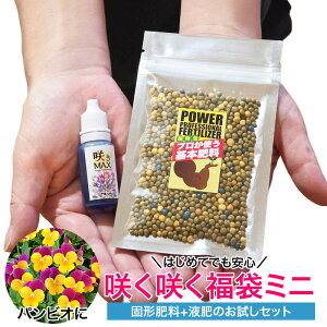 ���Ԃ̔엿 �炭�炭 �������Z�b�g �v�����g����{�엿 �炫MAX 2�_ �Z�b�g �T���v�� �K�[�f�j���O ���� ���S�� ������ �������� ���S �ƒ�؉� ���|